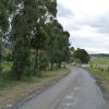 Road to Macarthurs Farm, Camden